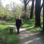 Tammy Ferrari - @tlarsonferrari - Instagram