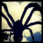 Tammy Ohlson de Fine - @tammyodf - Instagram