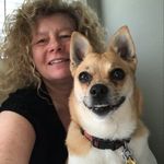 Tammy Forester - @tammyforester - Instagram