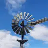 TammyForrest - @forrest101020 - TikTok
