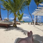 Tammy Forte - @t_a_forte - Instagram