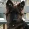 tammyforte2 - @tammyforte2 - TikTok