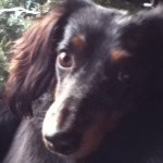 Tammy Franks - @tfranks_2228 - Instagram