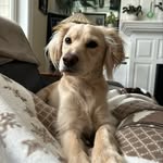 Tammy Franks Barry - @tammylbarry - Instagram