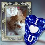 Tammy Fredrickson - @tamj634 - Instagram