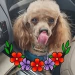 Tammy Fredrickson-Kohls - @tammy.kohls - Instagram