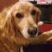 Tammy Gabel - Facebook