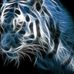 Tammy Gabel - Facebook