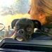 Tammy Gamache - Facebook
