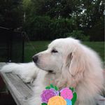 Tammy Gamache - @tammy.gamache.1 - Instagram