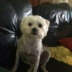 Tammy Gardiner - @tammy.gardiner.359 - Instagram