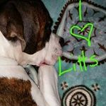 Tammy Gardiner - @gardiner.tammy - Instagram