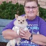 Tammy Gardiner - @tammynhaven - Instagram
