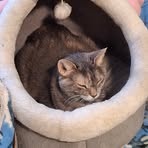 Tammy Gardiner - Facebook