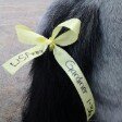 Tammy Gardiner - @tamtamgardiner1 - Instagram
