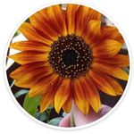 Tammy Gardiner - @gardinertammy - Instagram