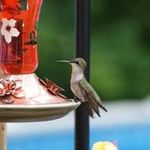 Tammy Shaw-Gardiner - @shawgardiner - Instagram