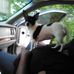 Tommy Gambrell - Facebook