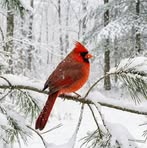Tammy Garver Baker - Facebook