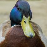 Tammy Garza - @tammygarza8098 - Instagram