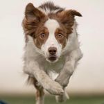 Tammy Gaudet - @tamtamgaudet - Instagram