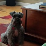 Tammy Gaudet - @tgaudet17 - Instagram
