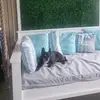 Tammy Geiger - @tammy.geiger - TikTok
