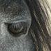 Tammy Geiser - Facebook