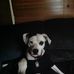 Tammy Gerrell - Facebook