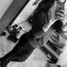 Tamara Gerstner - Facebook