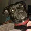 Tammy Giles - @tammy.giles - TikTok