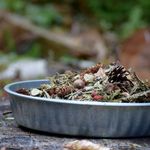 Tammy Giles Hodgdon - @mainescentsandseasons - Instagram