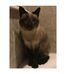 Tammy S Giles - Facebook