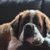 Tammy Gingerich VanHaitsma - Facebook