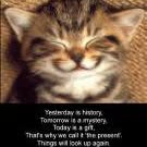 Tammy Goldsmith - Facebook