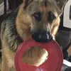Tammie Gooch - @tammie.gooch - TikTok