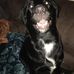 Tammy Goodpaster - Facebook