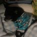 Tammy Gorby - Facebook