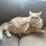 Tammy Graff - @tammygraff8 - Instagram