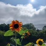 Tammy Graff - @tgraff69 - Instagram