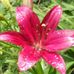 Tammy Gragg - Facebook