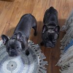 Tammy Richard Grainger - @jaggersgirljilly0920 - Instagram