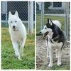 Tammy Grames - @tammy.grames - TikTok