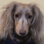 Tammy Grantham - @tgrantham4au - Instagram