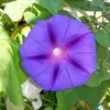 Tammy Grasso - @tammy.grasso - TikTok