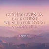 tammygraybeal662 - @tammygraybeal662 - TikTok