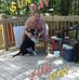 Tammy Greenleaf - Facebook