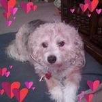 Tammy Greer - @tammymgreer70 - Instagram