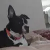 Tammy Gresham - @tammy.gresham5 - TikTok