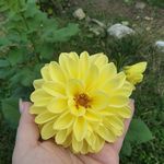 Tammy Grey - @trukhad15 - Instagram
